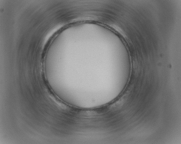 X0000076311119200610271932