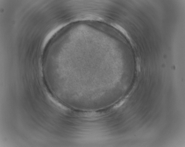 X0000076311120200610271932