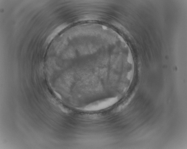 X0000076311121200610271932