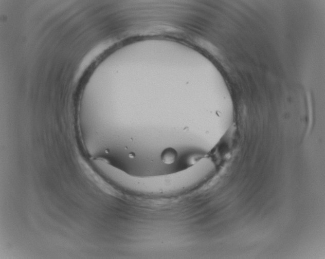 X0000076311122200610271932