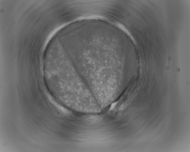 X0000076311124200610271932