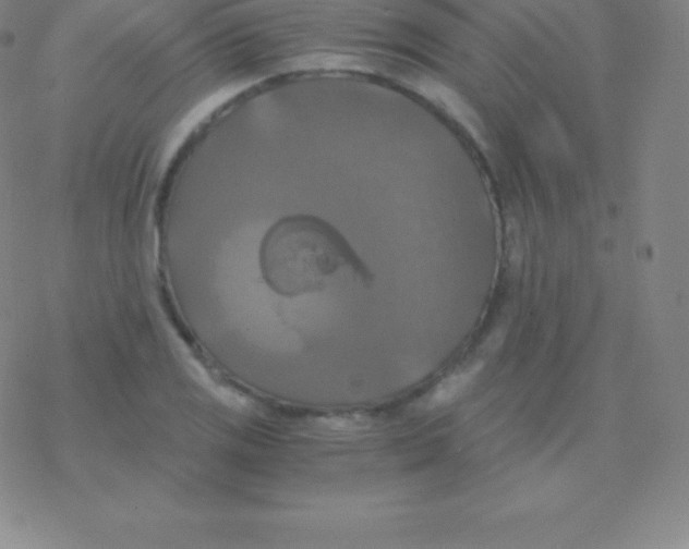 X0000076311125200610271932