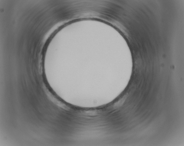 X0000076311126200610271932