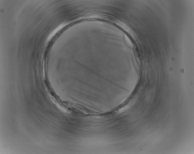 X0000076311127200610271932