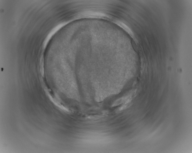 X0000076311128200610271932