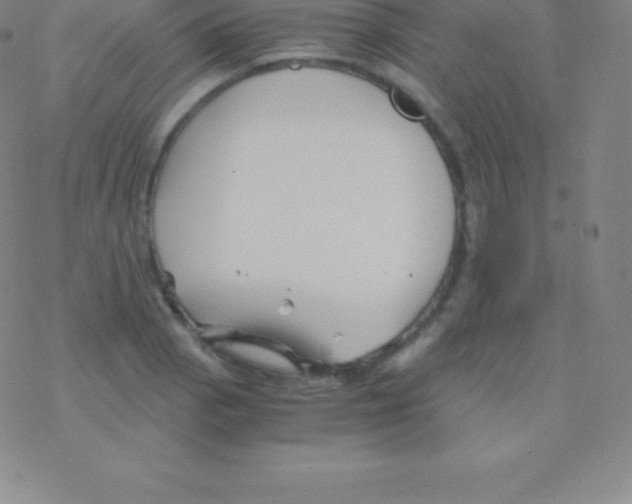 X0000076311129200610271932