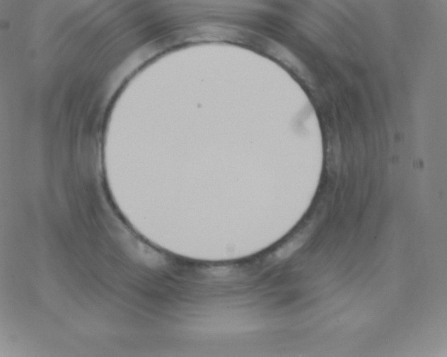 X0000076311130200610271932