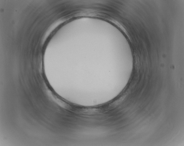 X0000076311131200610271932