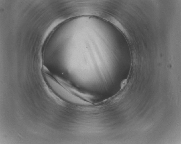 X0000076311132200610271932