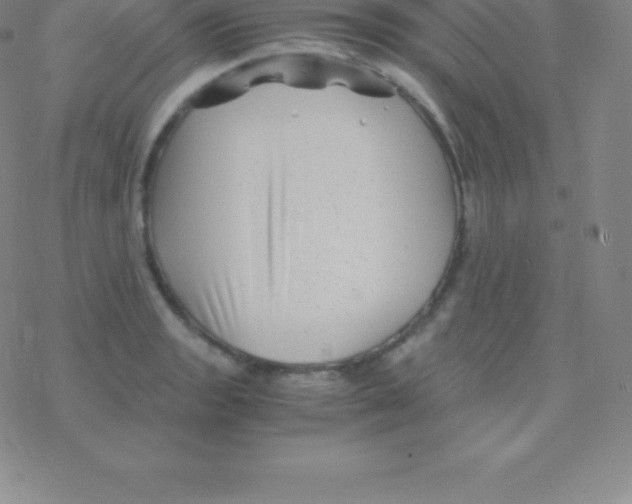 X0000076311133200610271932