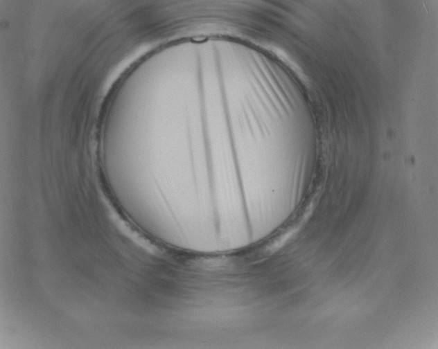 X0000076311134200610271932