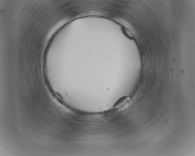 X0000076311135200610271932