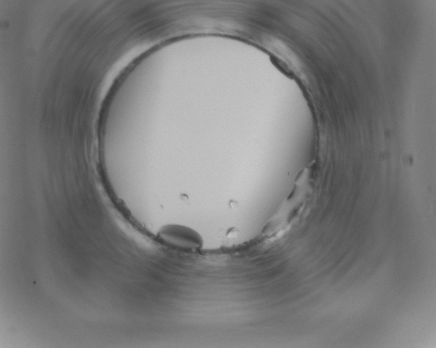 X0000076311136200610271932