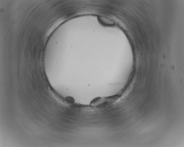 X0000076311137200610271932