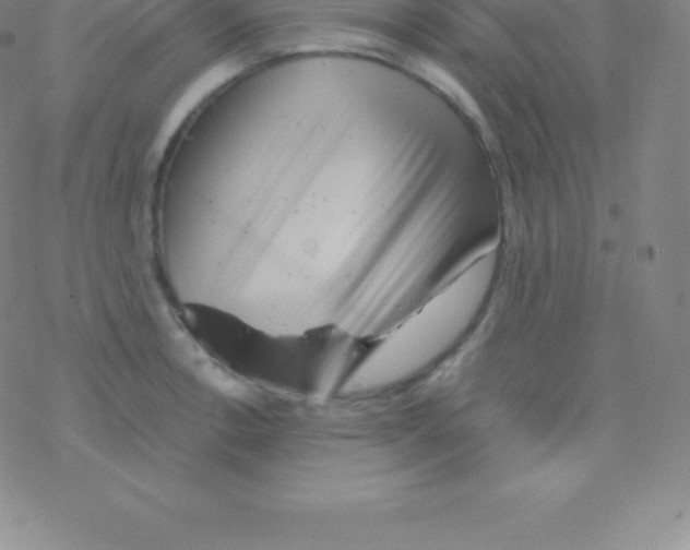 X0000076311138200610271933