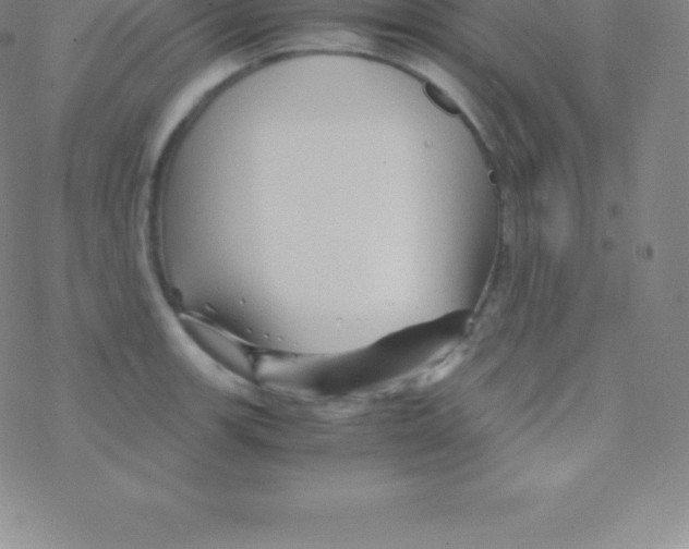 X0000076311139200610271933