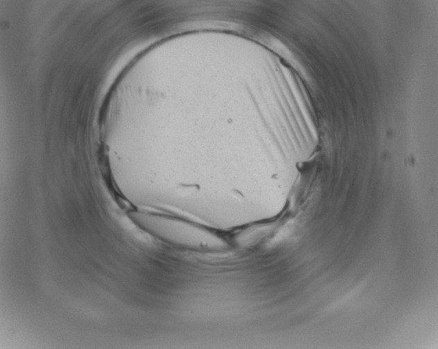 X0000076311140200610271933