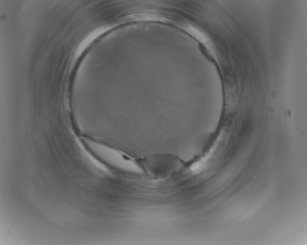 X0000076311141200610271933