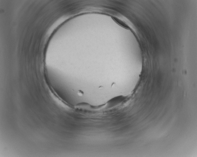 X0000076311143200610271933