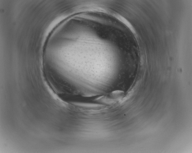 X0000076311144200610271933