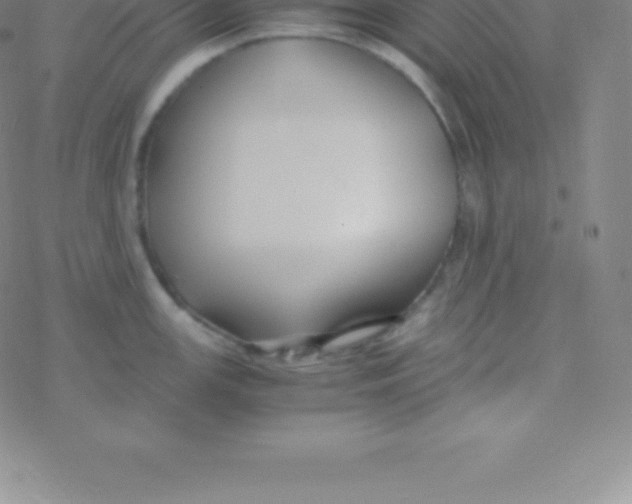 X0000076311147200610271933