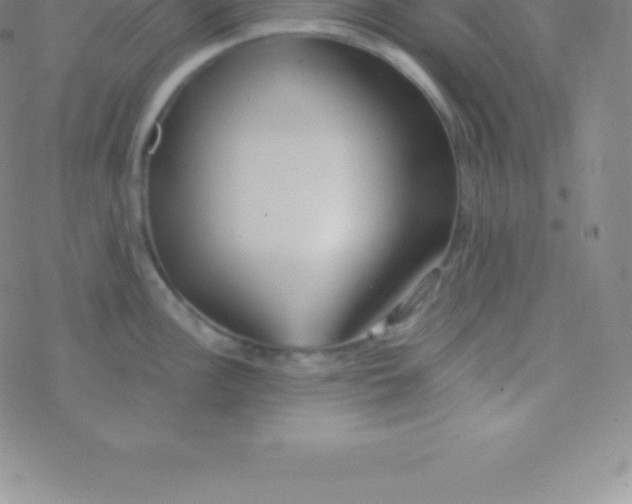 X0000076311148200610271933