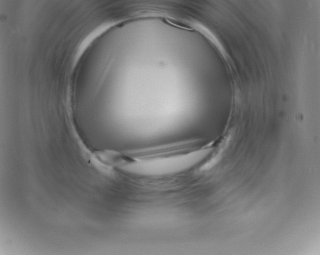 X0000076311149200610271933