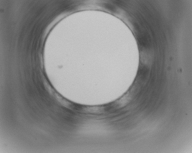 X0000076311150200610271933