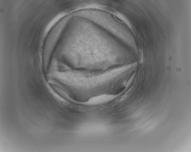 X0000076311151200610271933