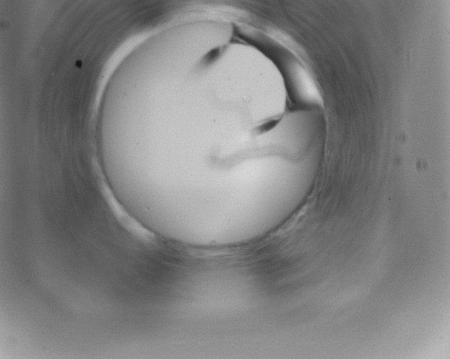 X0000076311152200610271933