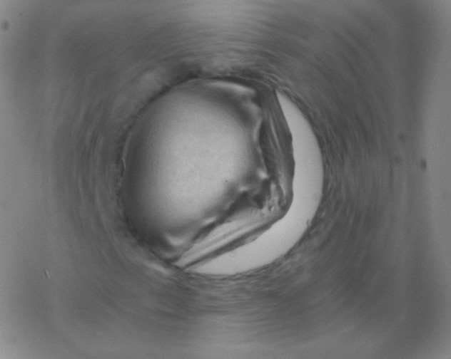 X0000076311153200610271932