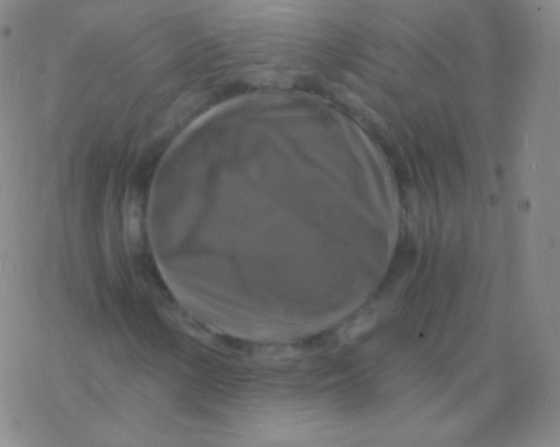 X0000076311154200610271932