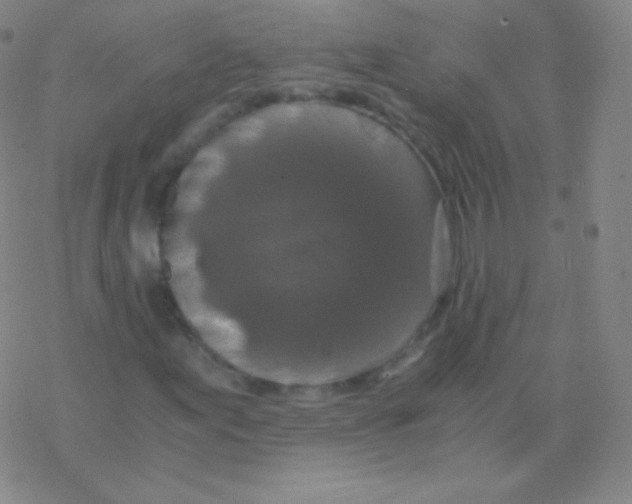 X0000076311155200610271932