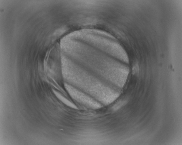 X0000076311156200610271932