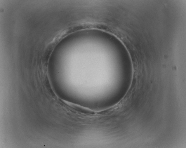 X0000076311157200610271932