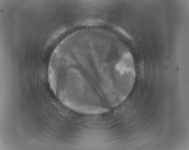 X0000076311158200610271932