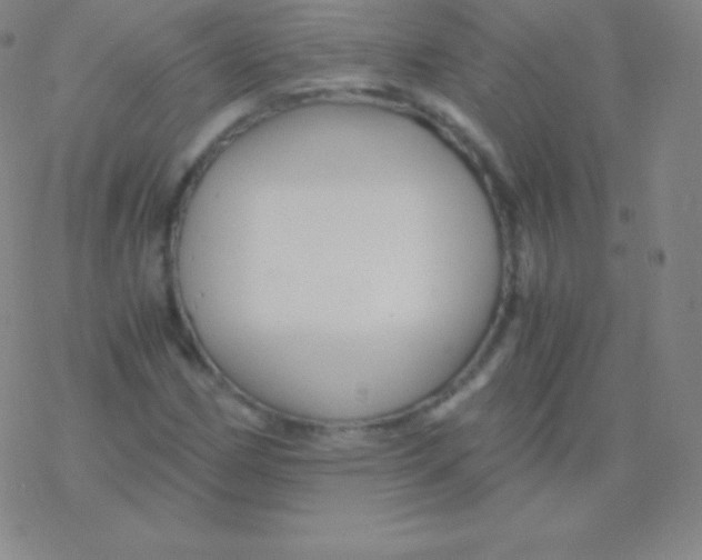 X0000076311162200610271932