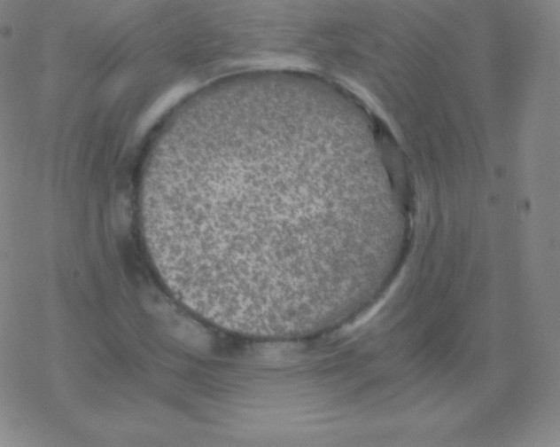 X0000076311163200610271932