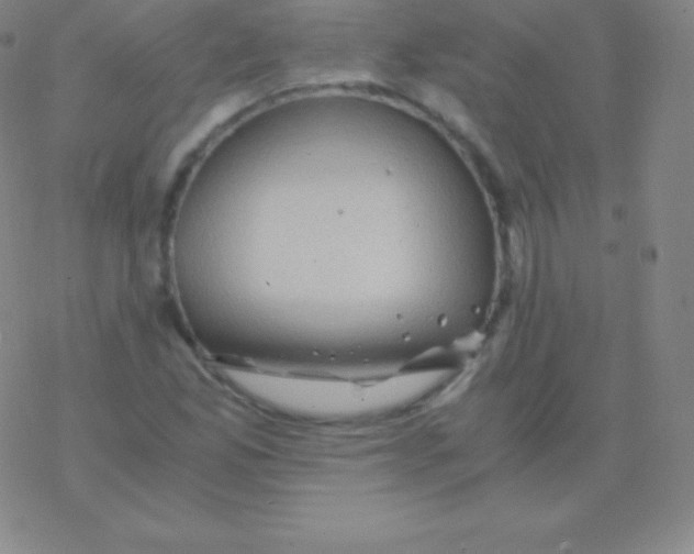 X0000076311165200610271932