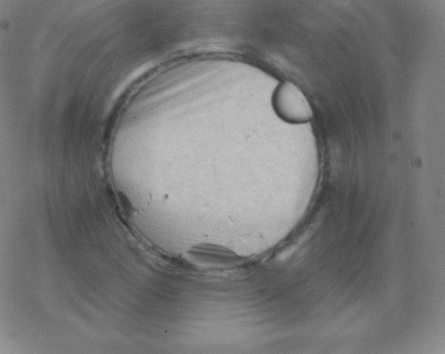 X0000076311166200610271932