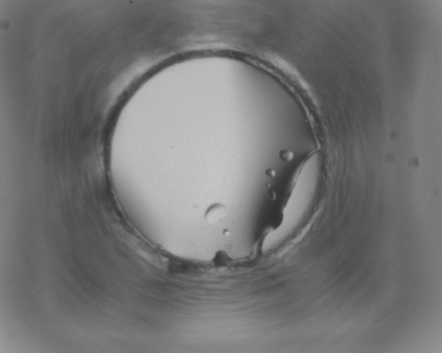 X0000076311167200610271932