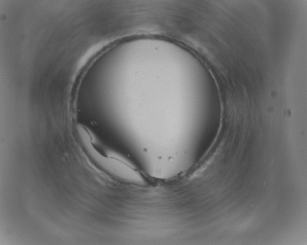 X0000076311168200610271932