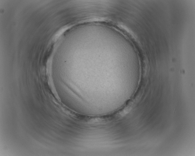 X0000076311169200610271932