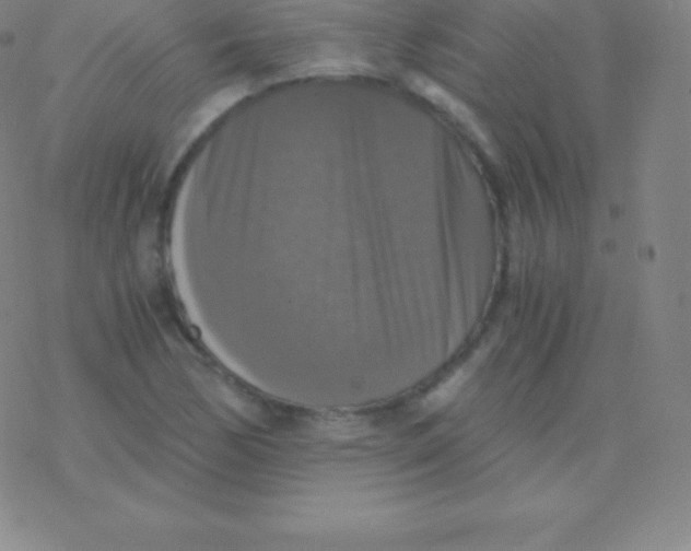 X0000076311170200610271932