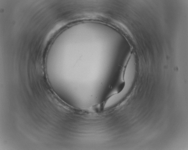 X0000076311172200610271932