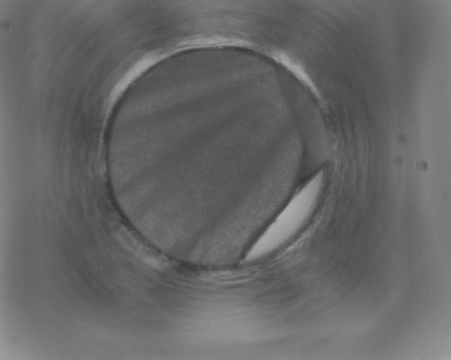 X0000076311173200610271932