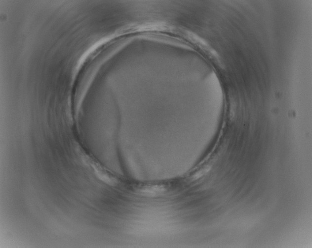 X0000076311174200610271932