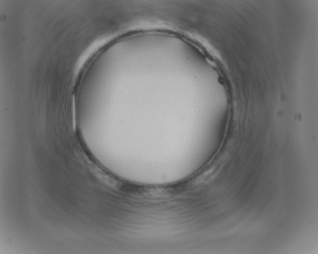 X0000076311175200610271932