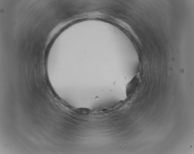 X0000076311176200610271932