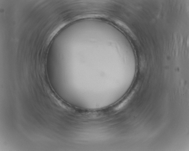 X0000076311177200610271932